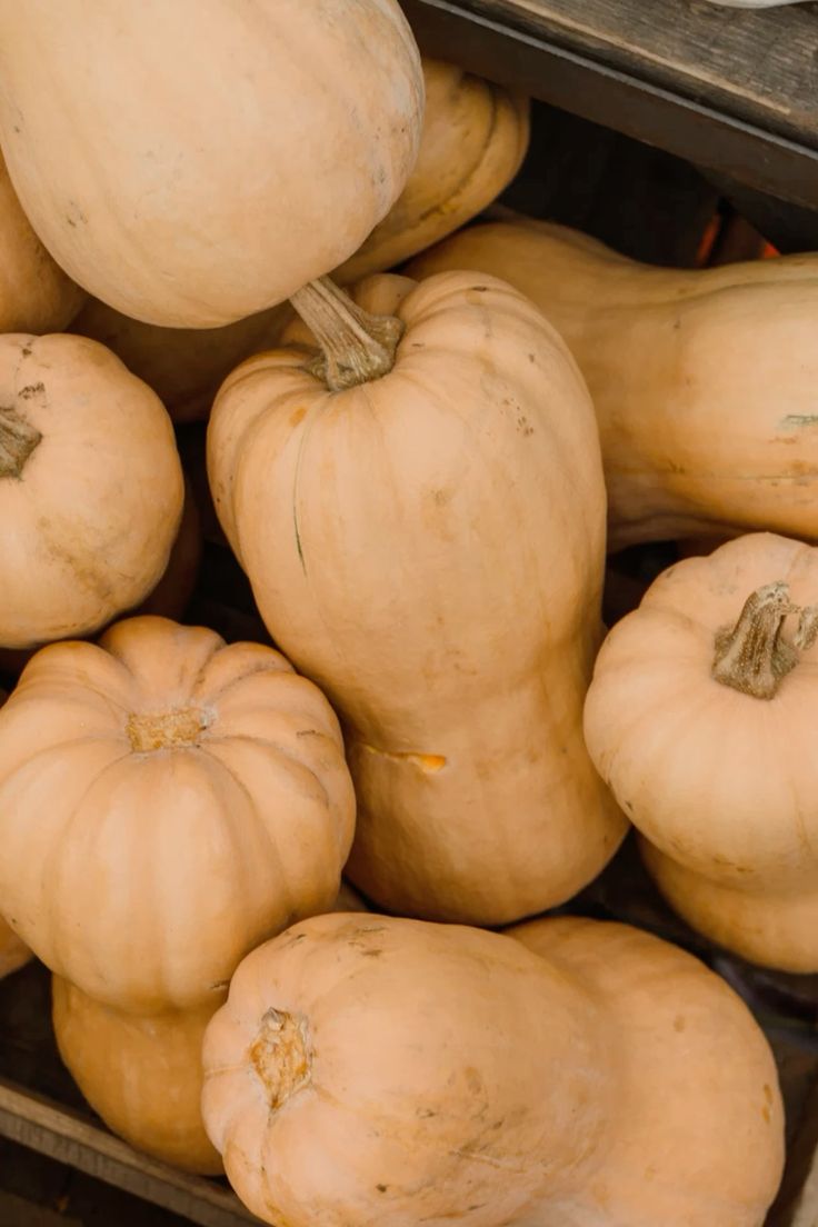 Butternut (Per Kg)