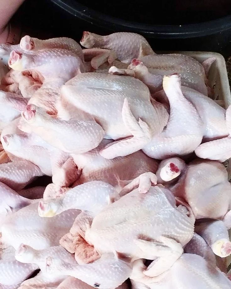 Dressed Chicken