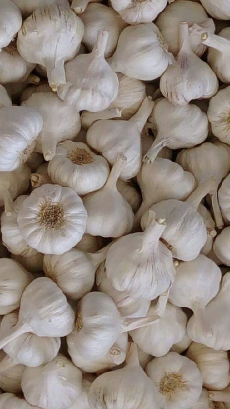 Garlic (Per Kg)