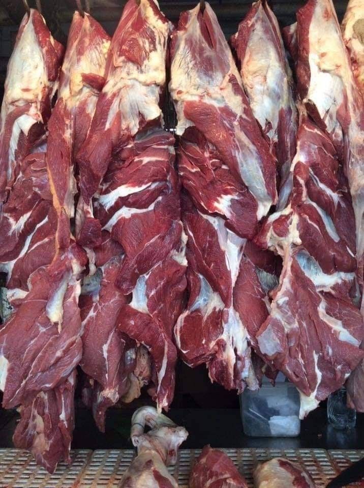 Boer Goat