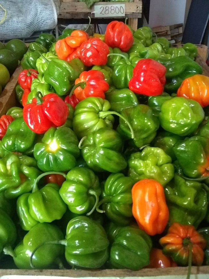 Green Peppers (Per Kg)