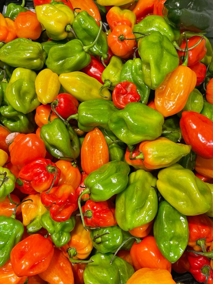 Chillies (Per Kg)