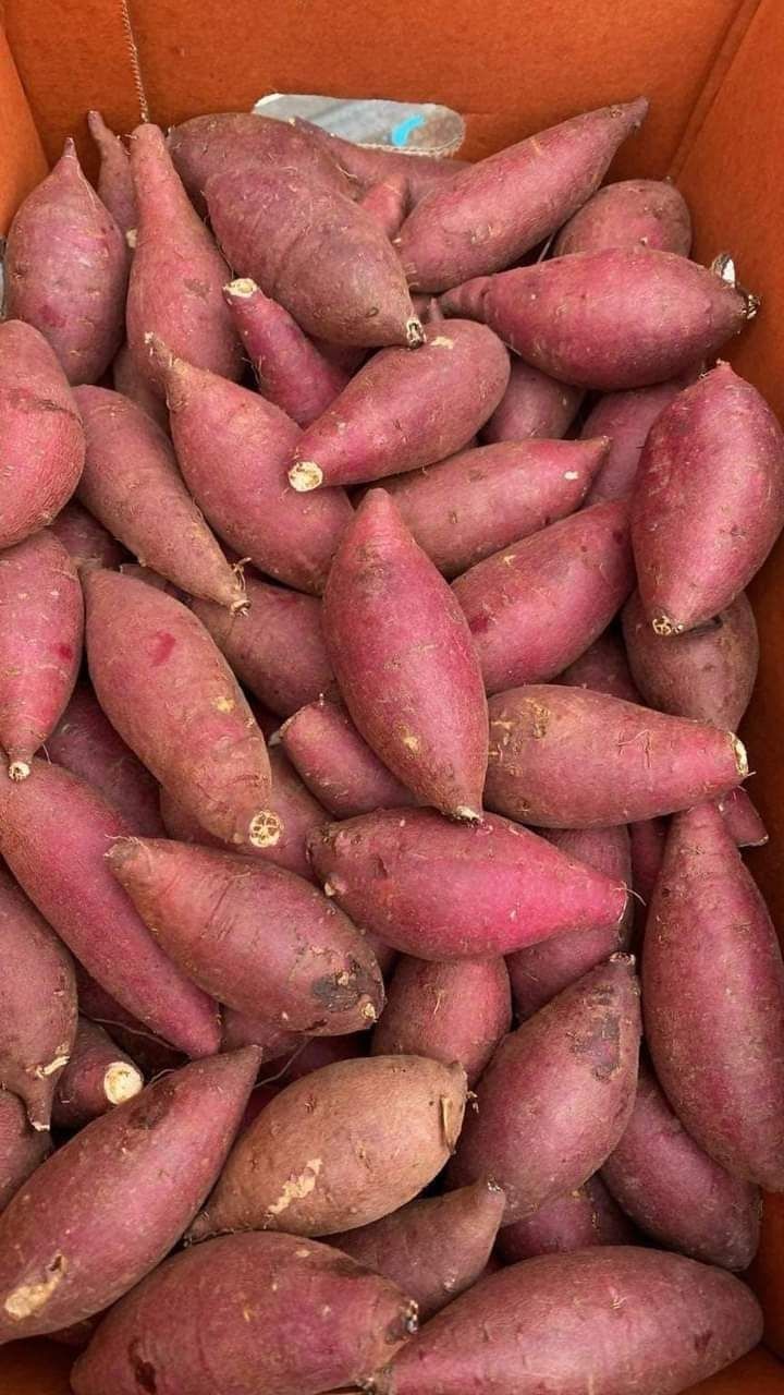 Sweet Potatoes (Per Bag)