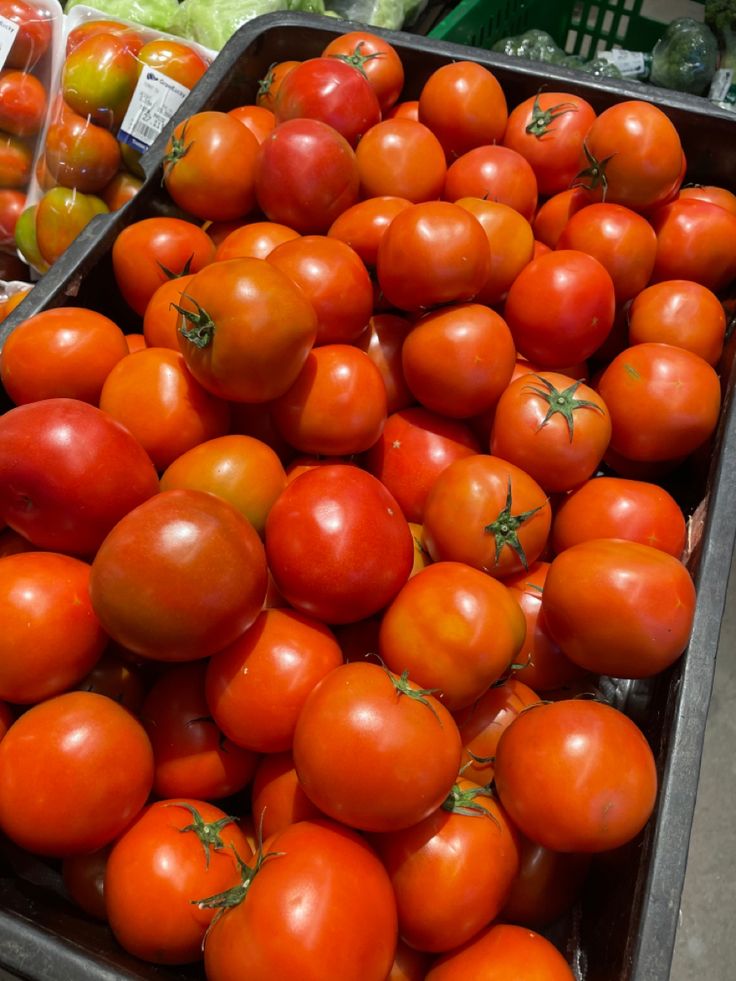 Fresh Produce, Quality Livestock & Professional Farm Machinery Direct From Our Fields.
