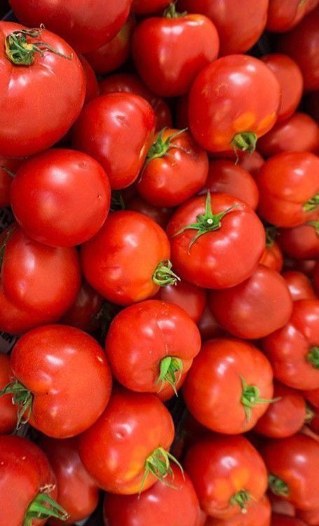 Tomatoes (Per Kg)